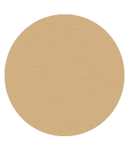 Blush Makeup Cosmetics Translucent Blotting Powder