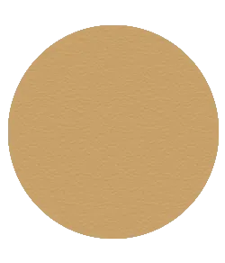 Blush Makeup Cosmetics Translucent Blotting Powder