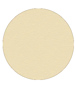 Blush Makeup Cosmetics Translucent Blotting Powder