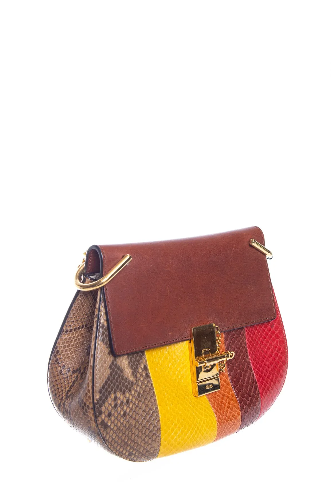 Chloe Multicolor Snakeskin Drew Handbag