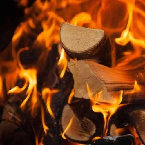 Click and Collect 3 nets Softwood Logs