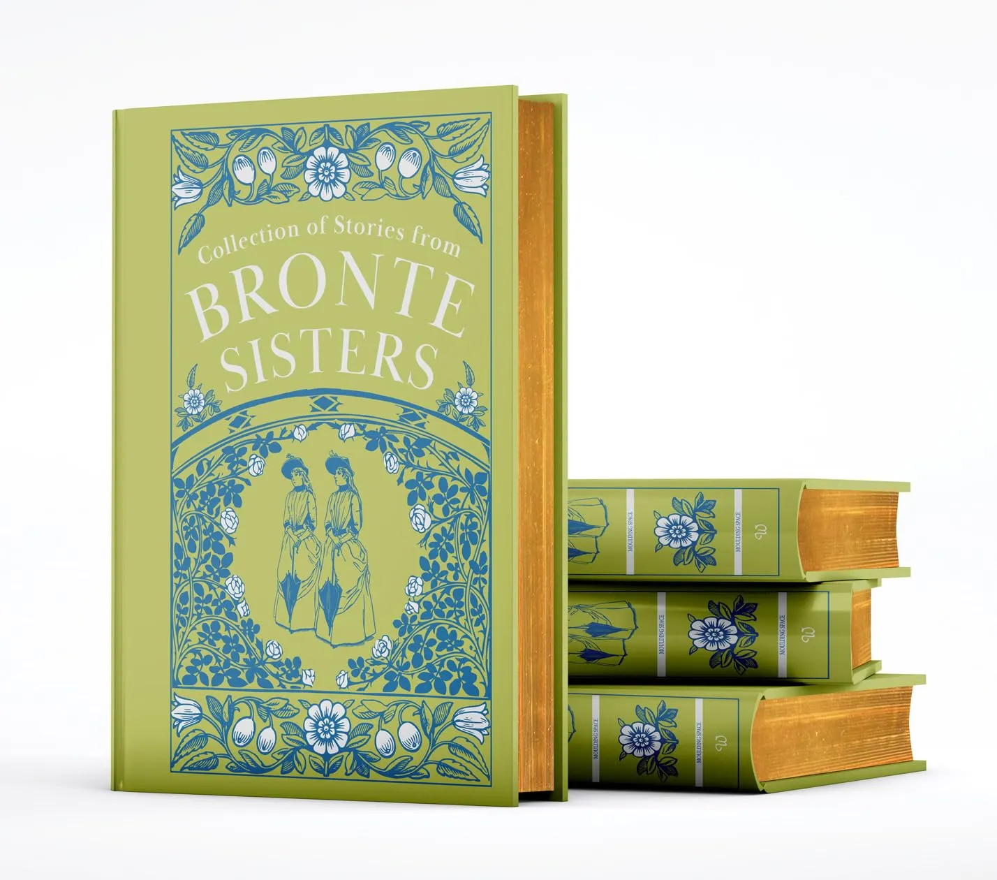 Collection of Stories From Bronte Sisters : Agnes Grey