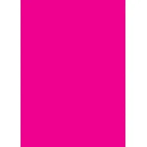 Felt Sheet 12 x 18in Fuschia