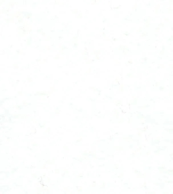 Felt Wool Mix Felt 92cm wide White 73
