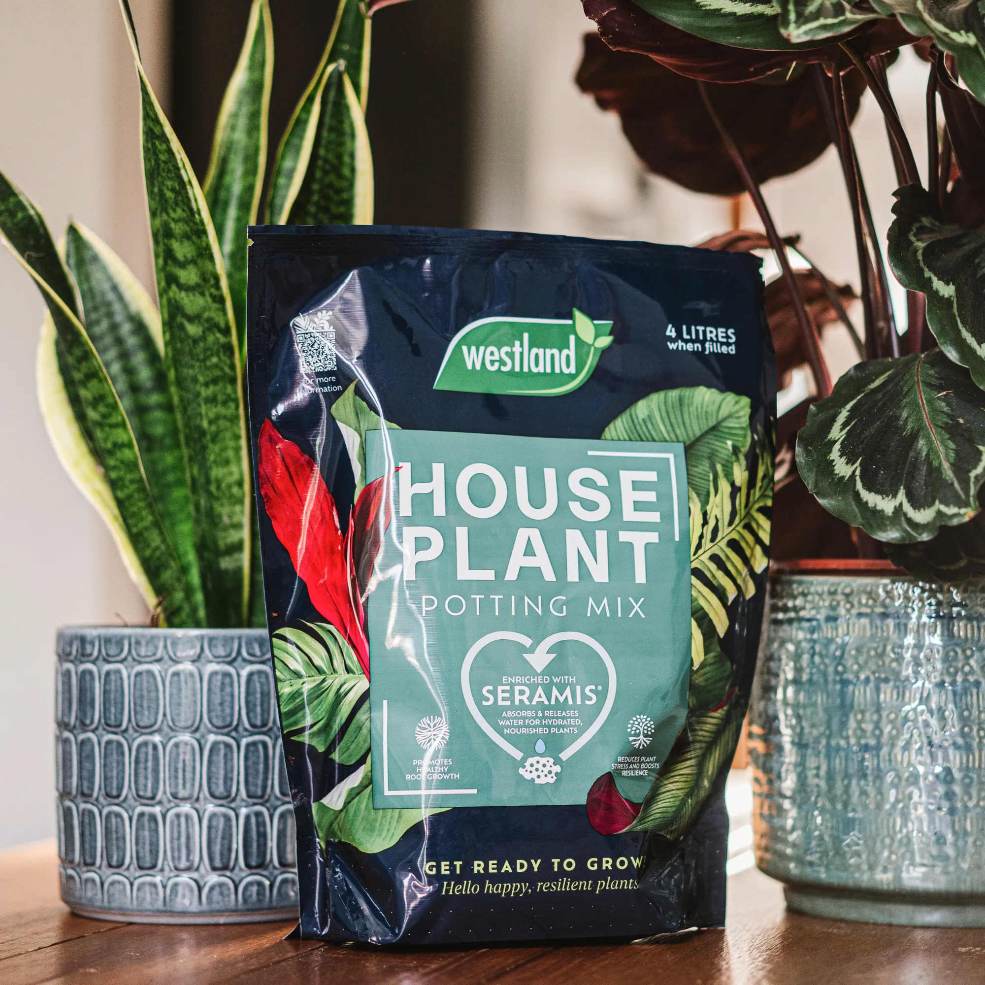 House Plant Potting Mix 4ltr