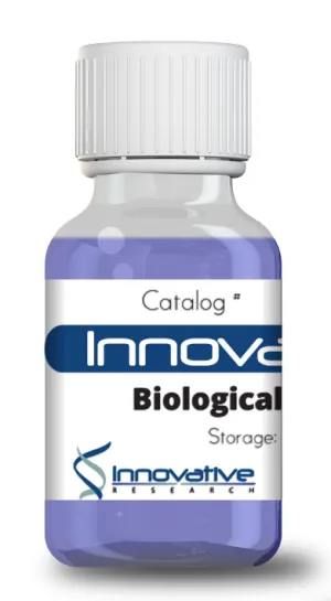 Human GGACT Recombinant Protein N-6 His Tag
