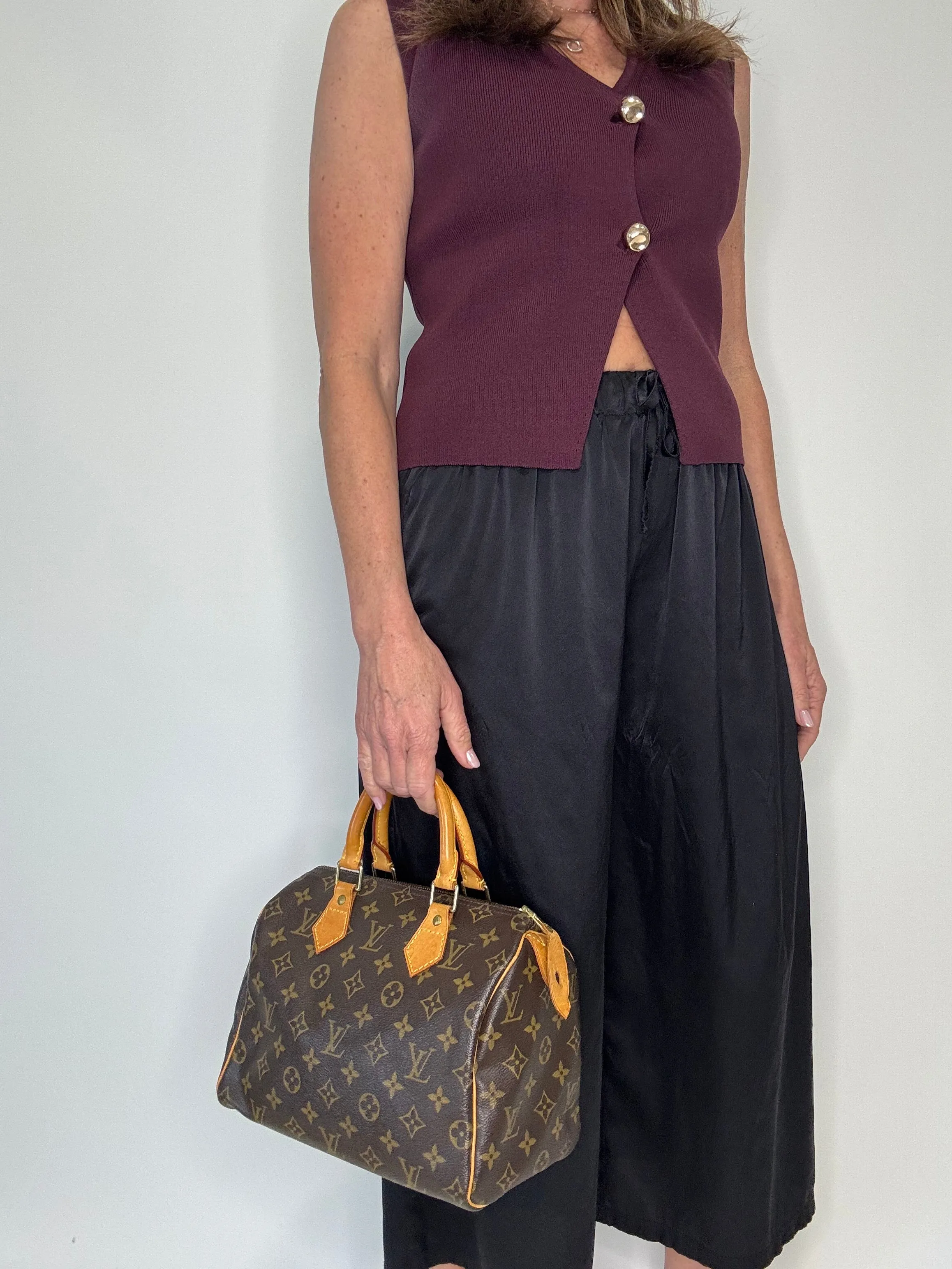 Louis Vuitton Monogram Speedy 25