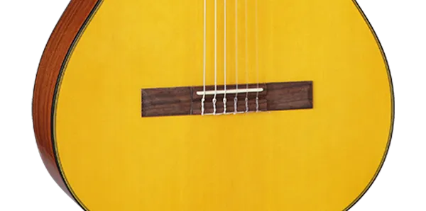 Takamine GC1-NAT