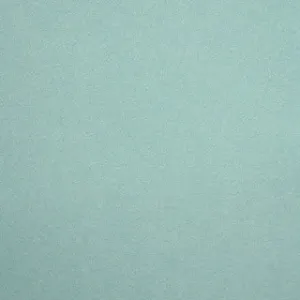 Wool Felt Solids 57 Powder Blue